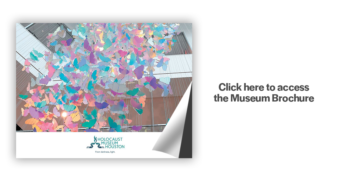 museum brochure img